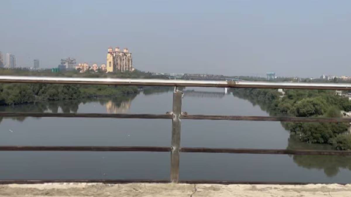 Body found in Parsik Retibandar Bay in Kalwa thane new