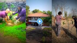 Video: लोकप्रिय मराठी जोडप्यानं १२-१५ वर्ष कष्ट करून बांधलं फार्महाऊस, आता उभं करतायत स्वप्नातलं वन, पाहा व्हिडीओ