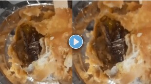 Man Discovers Cockroach in Samosa at Greater Noida Restaurant Video Goes Viral