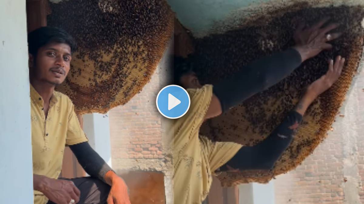 Man Grabbing Honey Bee With Bare Hands