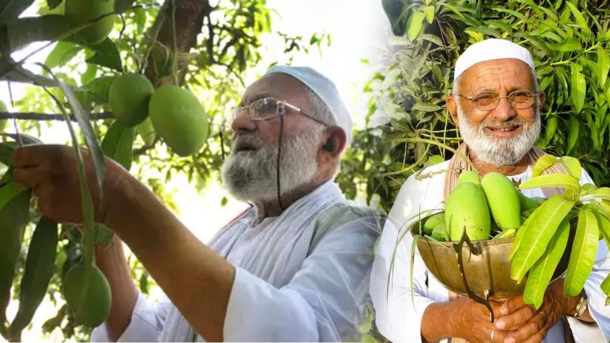 Mango Man
