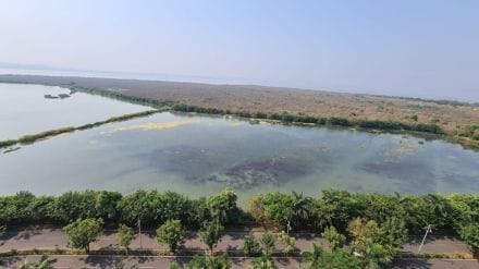 Recommendation to declare NRI wetlands as conservation areas