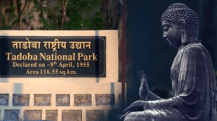 Nature Experience program Buddha Purnima Tadoba