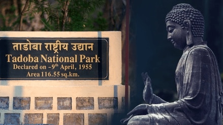 Nature Experience program Buddha Purnima Tadoba