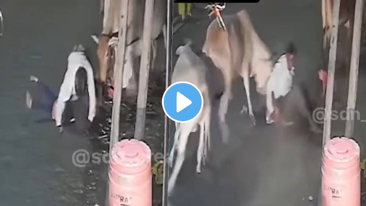 Shocking video cow attack on Father and childrens on road dangerous shocking video viral on social media