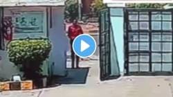 “मरण कधी येईल सांगता येत नाही” तरुणाला असं मरण आलं की VIDEO पाहून तुम्हीही म्हणाल; “असा शेवट कुणाचाही होऊ नये”