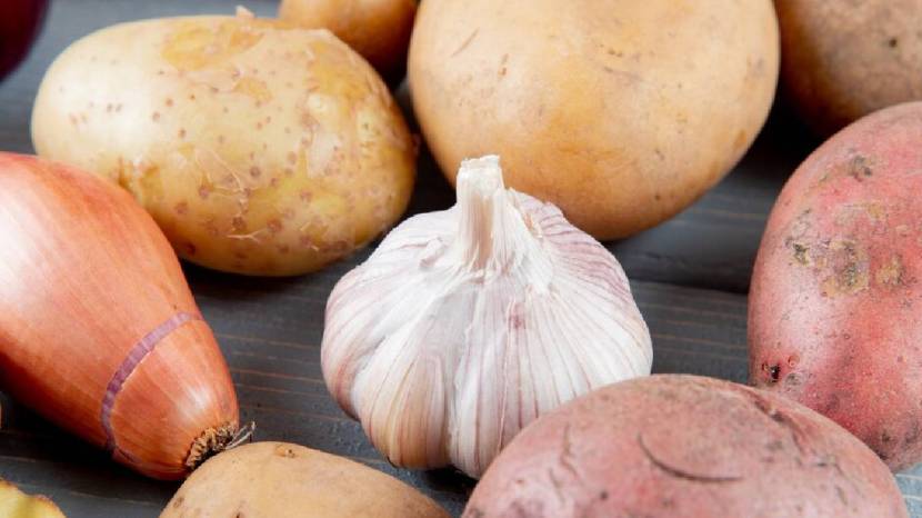 Do not put onions and potatoes in one place