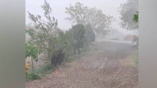 hailstorm , rain , Sangli , loksatta news,