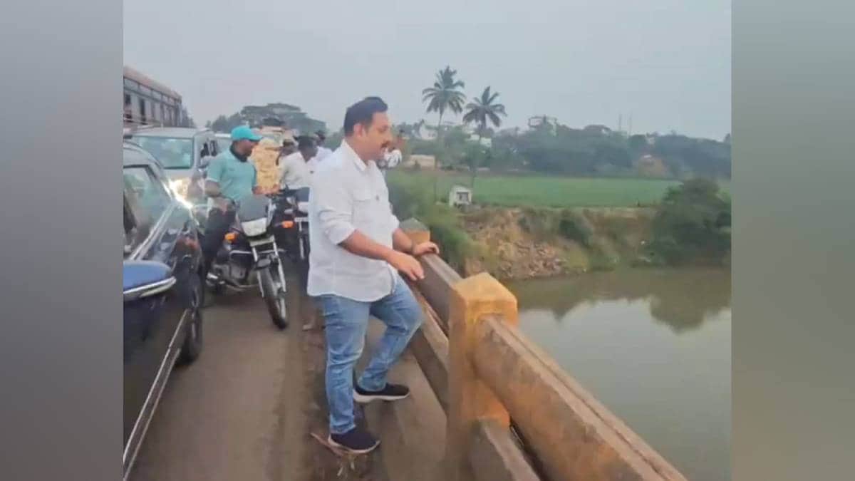 Crocodile , Krishna riverbed , Karad, loksatta news,