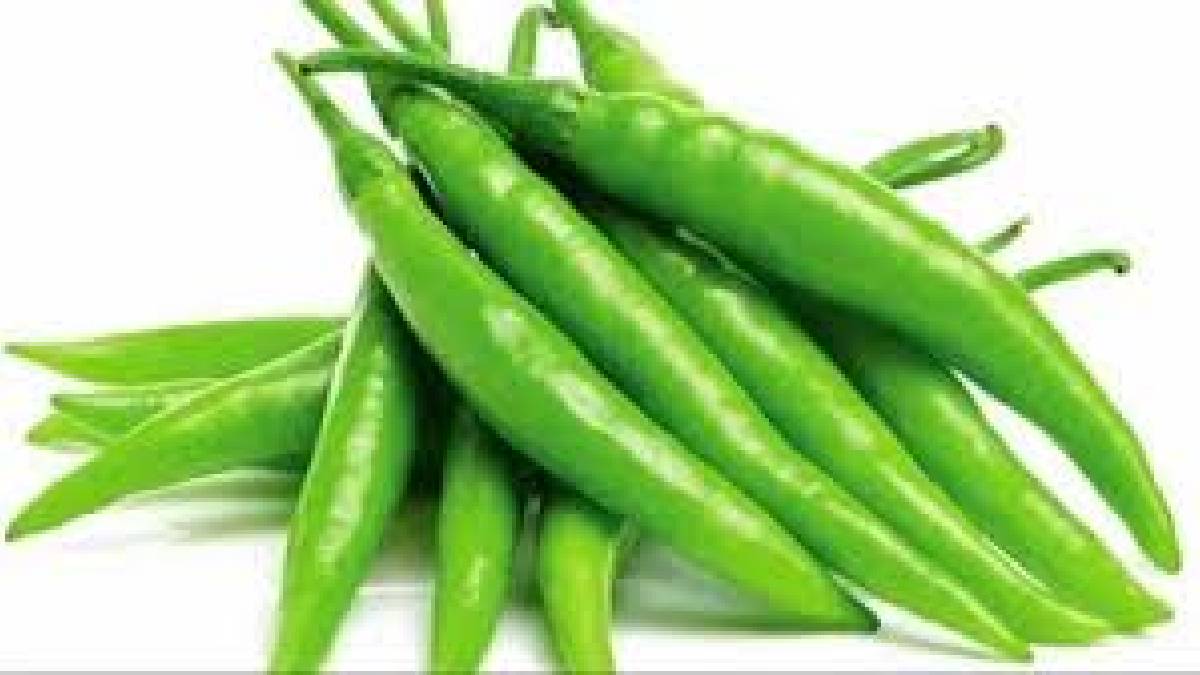 Prices of green chillies groundnuts beans and raisins dropped due to increased arrivals 90 trucks arrived