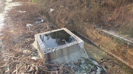 industrial effluent leakage from drainage line leads to episodes of fish kills