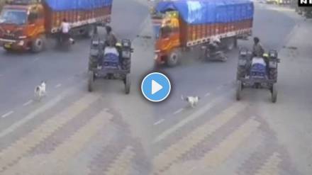 bike and truck road accident