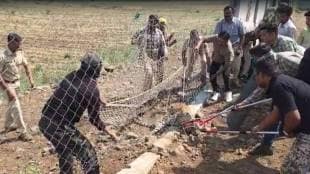 rescue operation of leopard on samruddhi highway