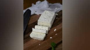 FDA, fake cheese, licenses , cheat , loksatta news,