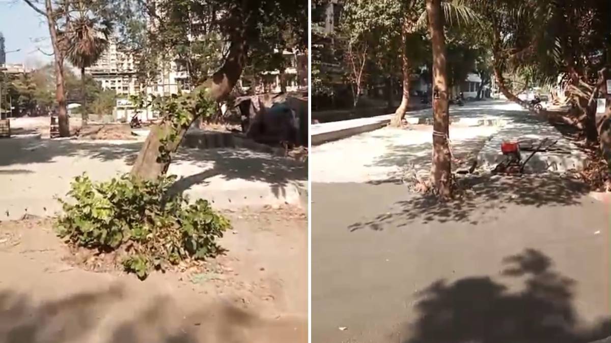 concrete work, trees , road , Thakurli Chole,