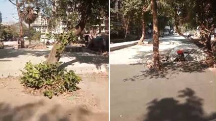 concrete work, trees , road , Thakurli Chole,
