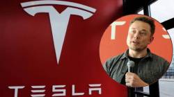 Elon Musk : ‘एलॉन मस्क यांनी ट्रम्प सरकार सोडून टेस्लाकडे लक्ष द्यावं’; वॉल स्ट्रीटवरच्या प्रसिद्ध तज्ज्ञाचा सल्ला
