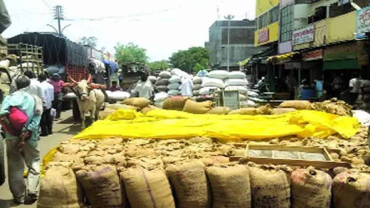 six market committees from satara district included in first hundred market committees in the stat