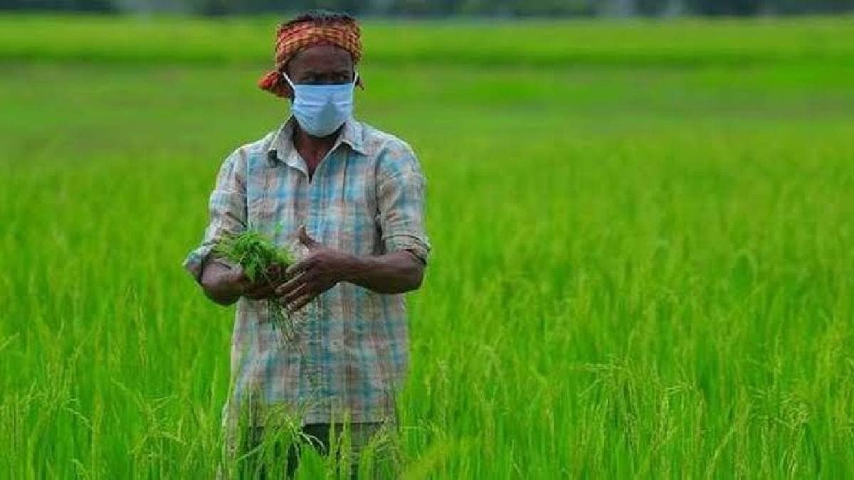 Chamorshi farmers oppose losing fertile land to industries question livelihood despite upcoming airport