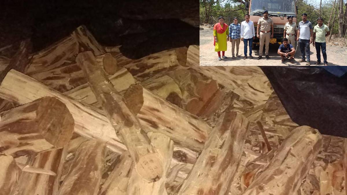 forest department seized tempo smuggling Khair wood worth 10 lakh in Jawhars Kanchad forest