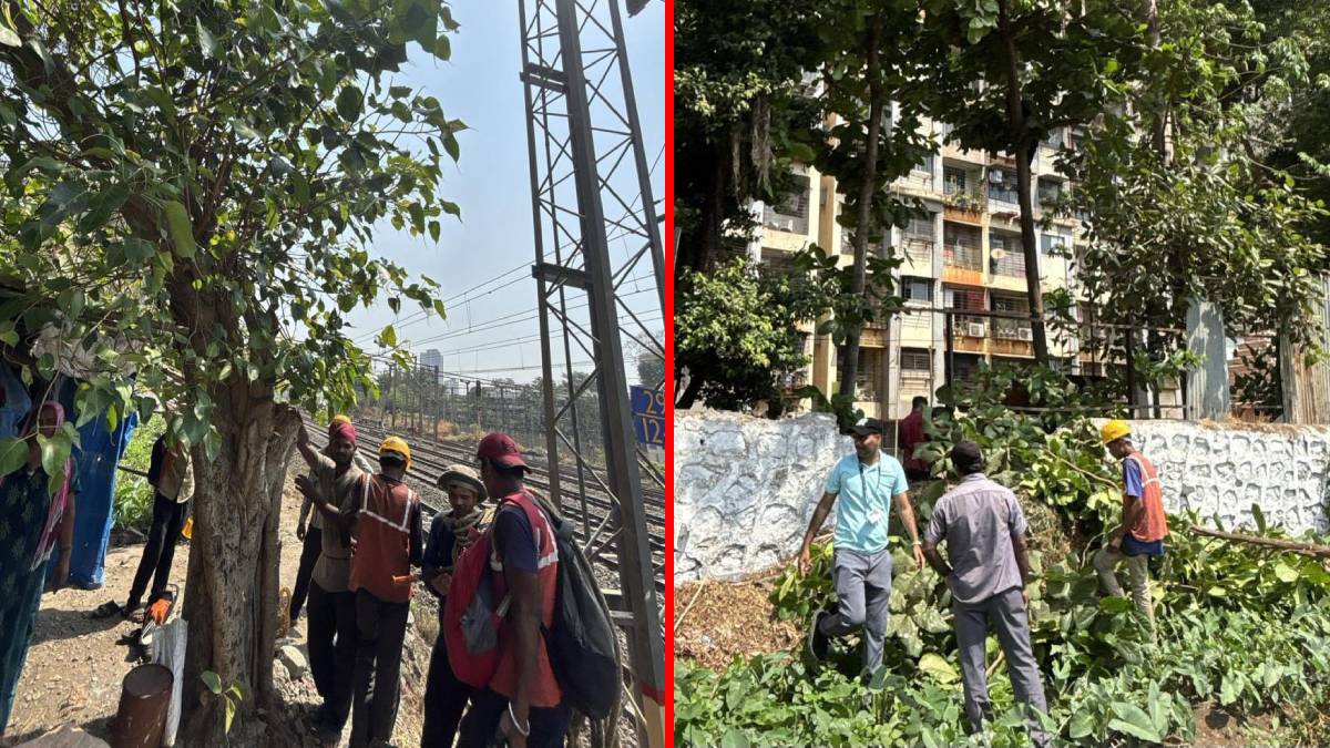 Mumbai, runing of trees , trees , railway tracks,