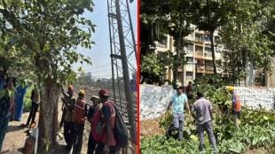 Mumbai, runing of trees , trees , railway tracks,
