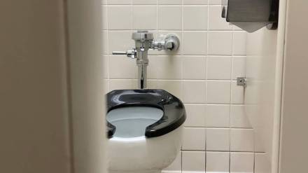 toilets , High Court, public interest litigation,