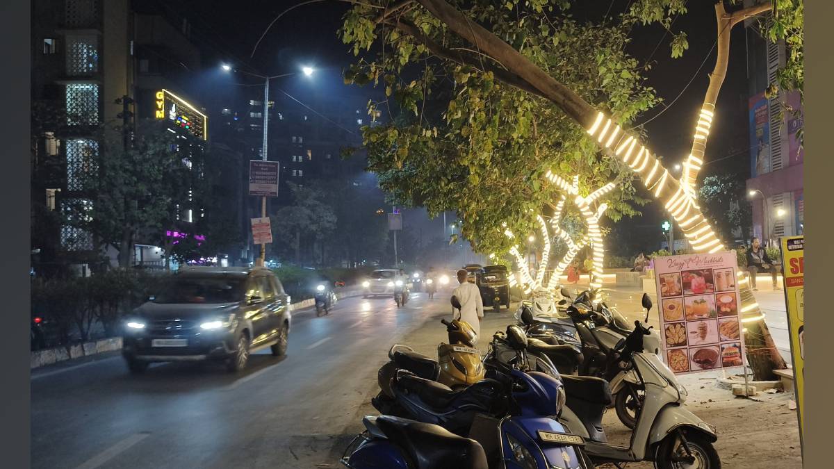 tree lighting in vasai virar harms trees and endangers creatures living on them