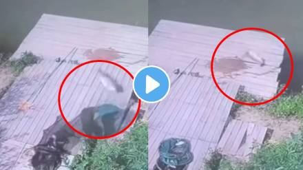 Fish trying to save his life by trying hard shocking video goes viral on social media