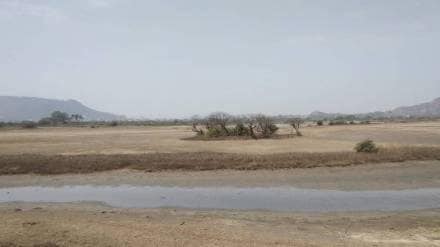 bird numbers in Uran dropped over one lakh due to declining wetlands say environmentalists