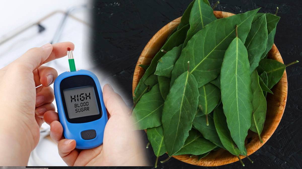curry leaves for control diabetes benefits of curry leaves for control diabetes how to use curry leaves to reduce blood sugar know here
