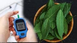 Curry leaves Benefits: डायबिटीज, कोलेस्ट्रॉल, ब्लड शुगर आणि वेटलॉससाठी कढीपत्ता कसा खावा जाणून घ्या