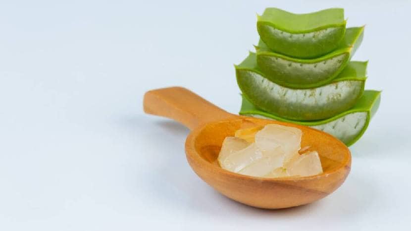 How To Know If Your Aloe Vera Gel Is Real