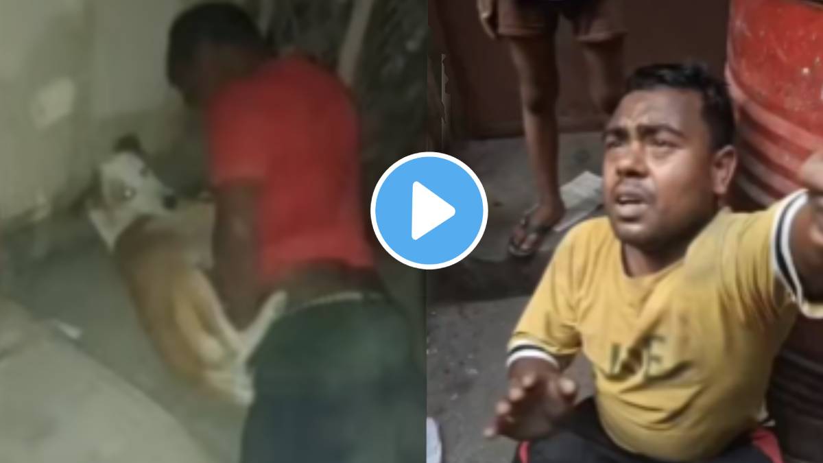 Delhi Man Thrashed For Raping Stray Dogs