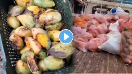 Ripe Mango Juice dirty Mango Juice is being sold in navi mumbai shocking video