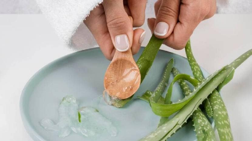 How to check aloe vera gel is original