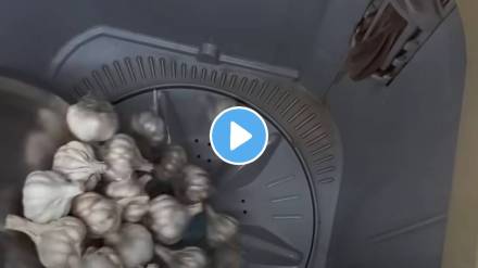 Kitchen jugad video how to peel garlic easily and fast in washing machine garlic peeling easy trick