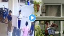 VIDEO: तुमचा छंद कुणाचा तरी जीव घेईल! पुण्यात झाडाची कुंडी चिमुकल्याच्या डोक्यात पडली; क्षणात जीव गेला, अंगावर काटा आणणारा मृत्यू