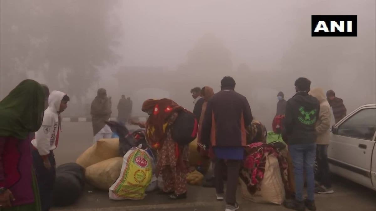 Hindu refugee families in India holding signs pleading for asylum.