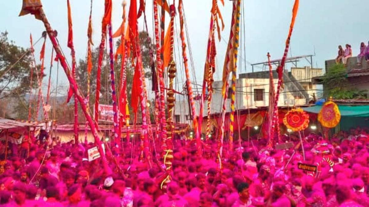 Naikba Temple Palkhi Ceremony news in marathi