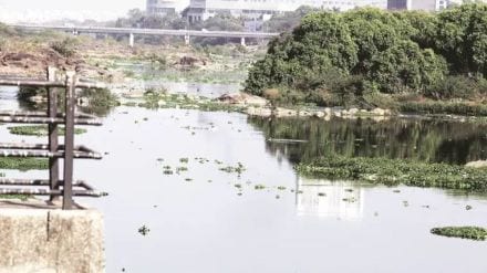 Waiting for funds for river improvement