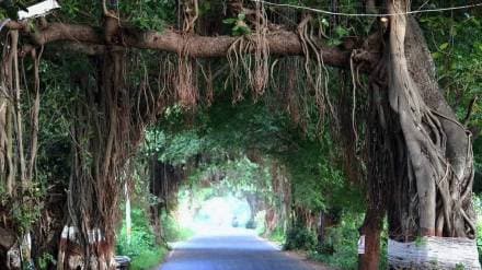 vehicle traffic allowed Radhanagari Dajipur ro