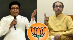 Maharashtra Politics News: ‘त्याने काय फरक पडणार’, ठाकरे बंधू एकत्र येण्याच्या चर्चेवर भाजपाची खोचक प्रतिक्रिया