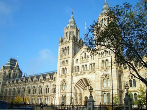 Top 10 Universities in the World 2025, Times Higher Education Global Rankings Revealed 