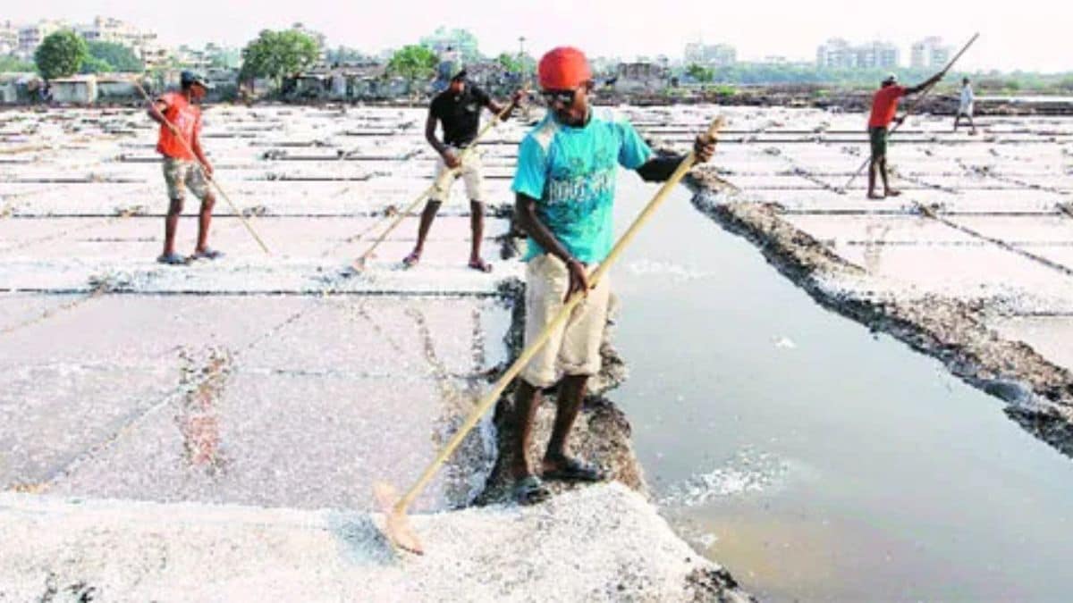 Salt pan lands are safe for development S V R Srinivas