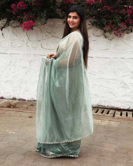 marathi actress veena jagtap saree look
