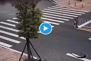 viral Video