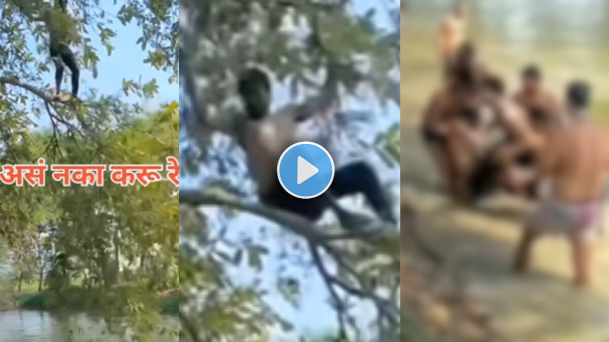 Viral Video young man fall from tree