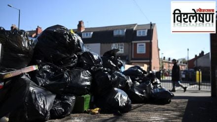 Waste and rats on the street in united kingdom