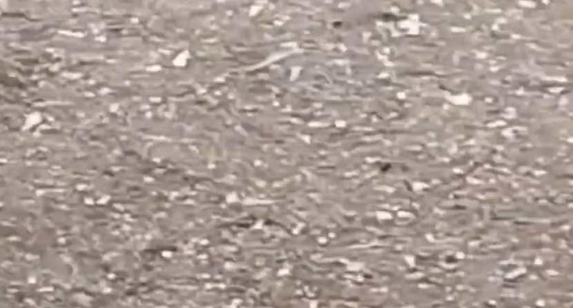 hailstorm , rain , Sangli , loksatta news,